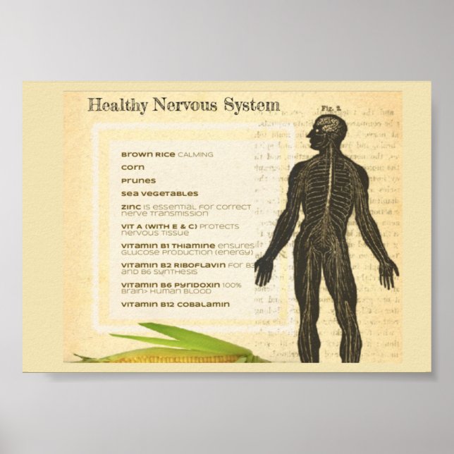 Affiche Healthy Nervous System (Devant)