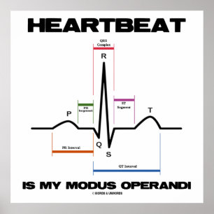 Affiche Heartbeat Est Mon Modus Operandi Sinus Rhythm