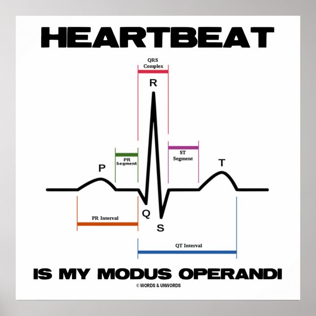 Affiche Heartbeat Est Mon Modus Operandi Sinus Rhythm (Devant)