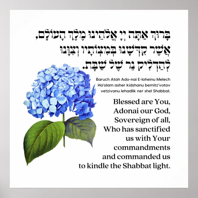 Affiche Hebrew Blessing for Shabbat Candles Hydrangea (Devant)