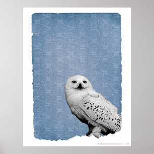 Affiche Hedwige 2