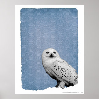 Affiche Hedwige 2