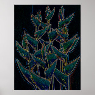 Affiche Heliconia Rostrata Plante tropical Floral Art Noir