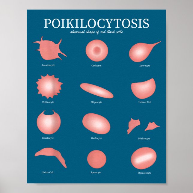 Affiche Hematology Red Blood Cell Laboratory Science Hemat (Devant)