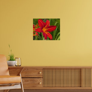 Affiche Hemerocalle orange en fleurs Floral