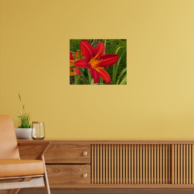Affiche Hemerocalle orange en fleurs Floral (Salon 2)