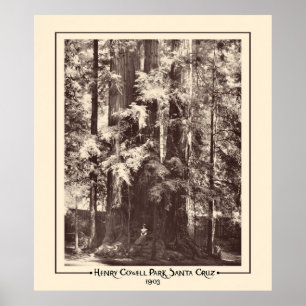 Affiche Henry Cowell Park, Père Noël Cruz, Californie 19