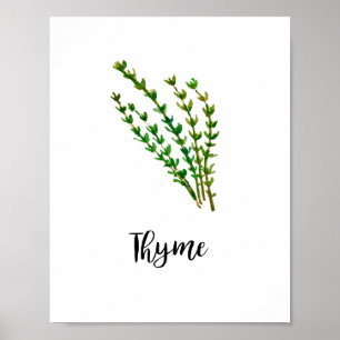 Affiche Herb Watercolor Painting Word Art