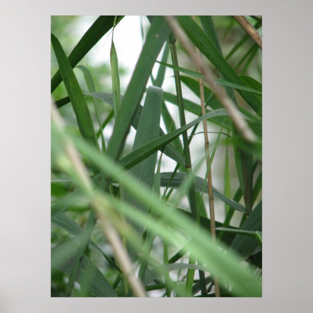 Affiche Herbe (Devant)