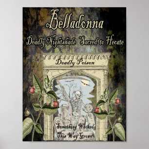 AFFICHE HERBE DE BELLADONNA WITCH