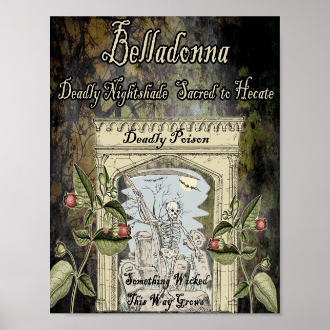 AFFICHE HERBE DE BELLADONNA WITCH (Devant)