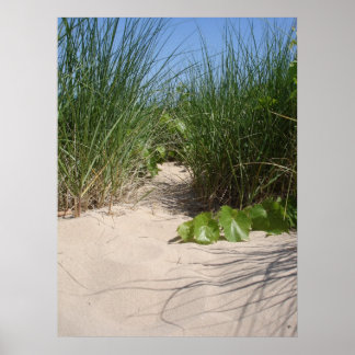 Affiche Herbe de plage, Dunes de Warren, MI