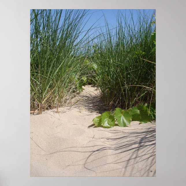Affiche Herbe de plage, Dunes de Warren, MI (Devant)