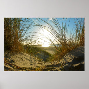 Affiche Herbe des dunes et mer -