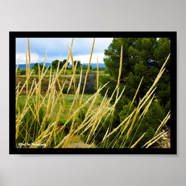 Affiche Herbe sauvage de campagne (Devant)