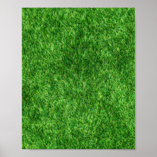 Affiche Herbe verte