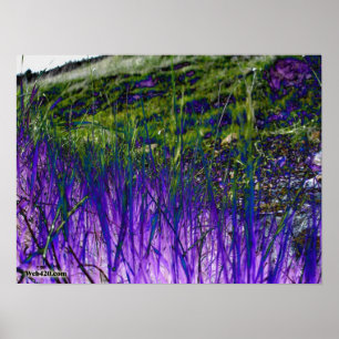 Affiche herbe violette et verte