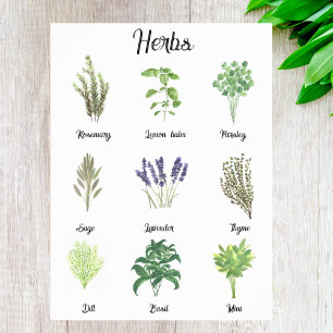 Affiche Herbes Aquarelle Sage Thyme Rosemary Cuisine