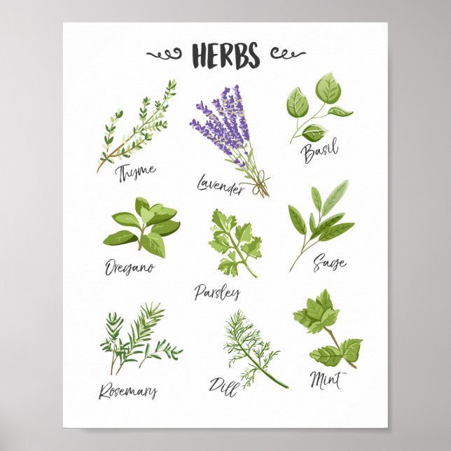 Affiche Herbes d'art Herbes d'art Cuisine d'art Décor cuis (Devant)