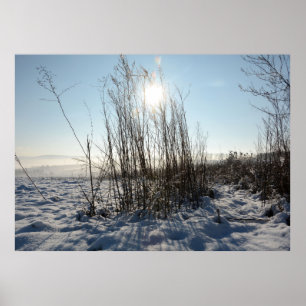 Affiche Herbes d'hiver -
