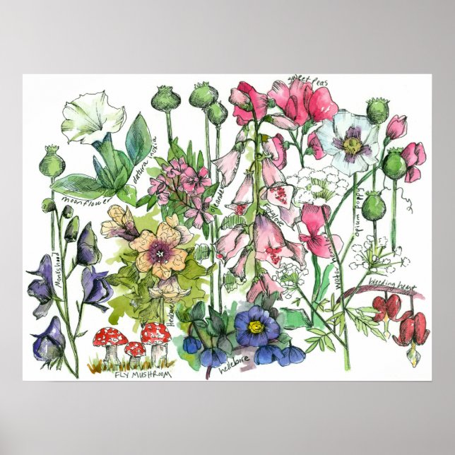 Affiche Herbes Plantes poisonnantes Fleurs d'aquarelle (Devant)