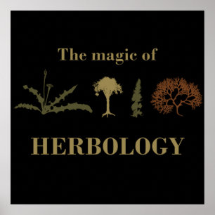 Affiche herbologie