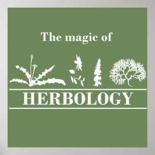 Affiche herbologie
