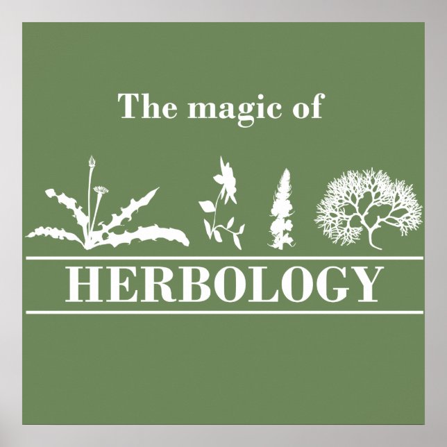 Affiche herbologie (Devant)