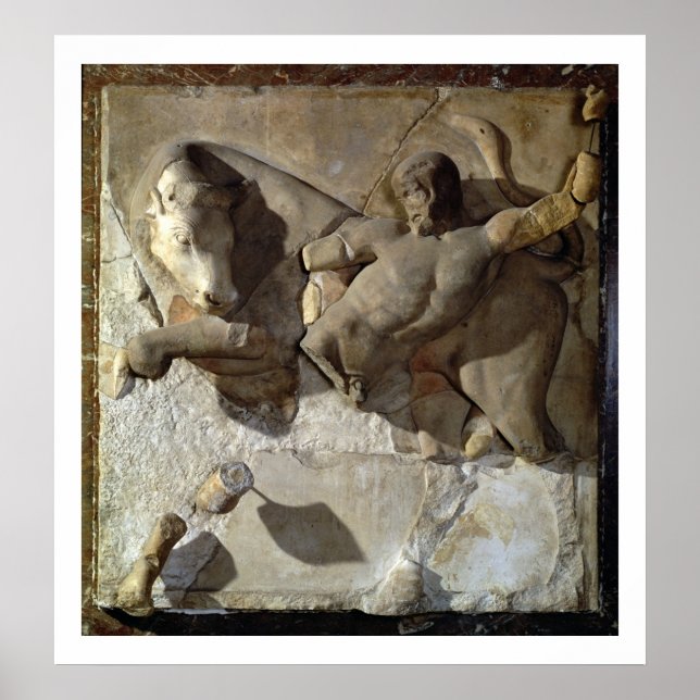 Affiche Hercules Fighting the Cretan Bull (Devant)
