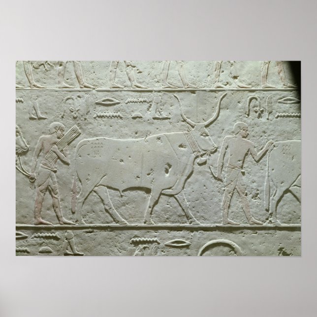 Affiche Herdsman à la tête d'un taureau (Devant)