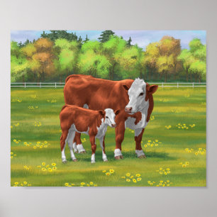 Affiche Hereford Cow & Cute Calf dans les pâturages d'été