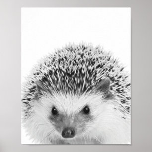 Affiche Hérisson Bois Enfants Décor Chambre