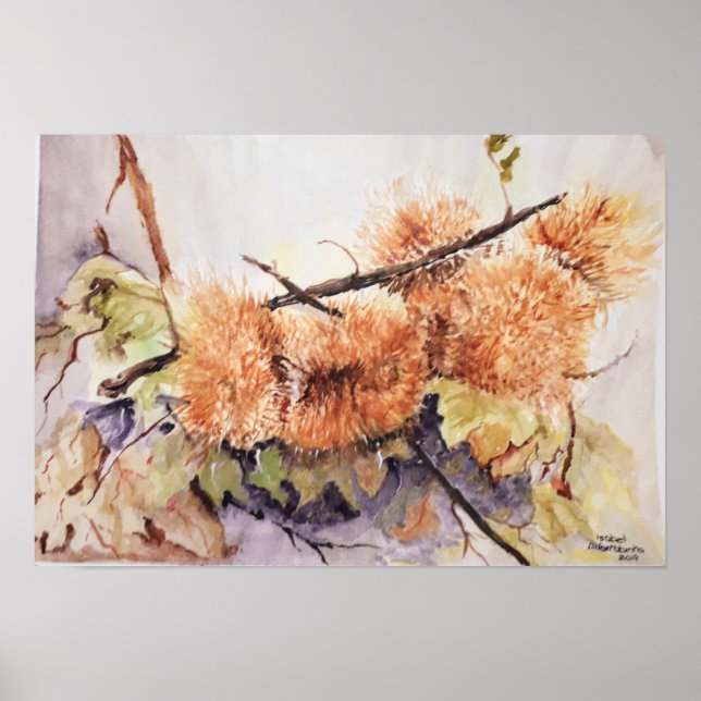Affiche Hérisson de châtaignes d'aquarelle (Devant)