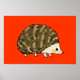 Affiche Hérisson mignon