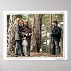 Affiche Hermione, Ron, and Harry 2