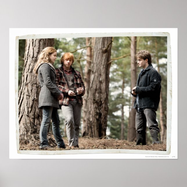 Affiche Hermione, Ron et Harry 2 (Devant)