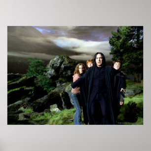 Affiche Hermoine de Snape Ron Harry