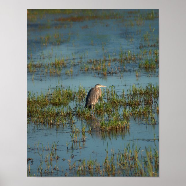 Affiche Heron 6937 (Devant)