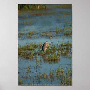 Affiche Heron 6937