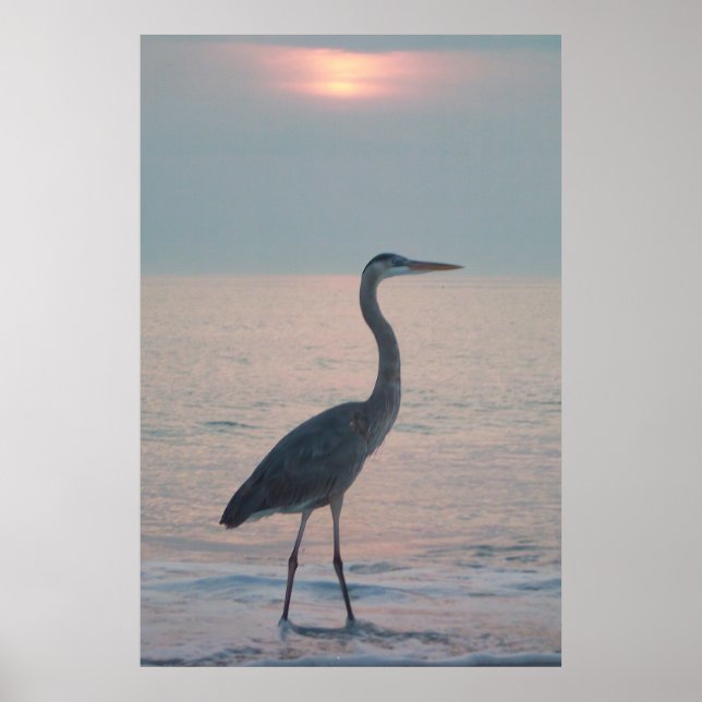 Affiche Heron Beachcombing (Devant)