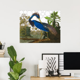 Affiche Héron bleu de Louisiane par John James Audubon
