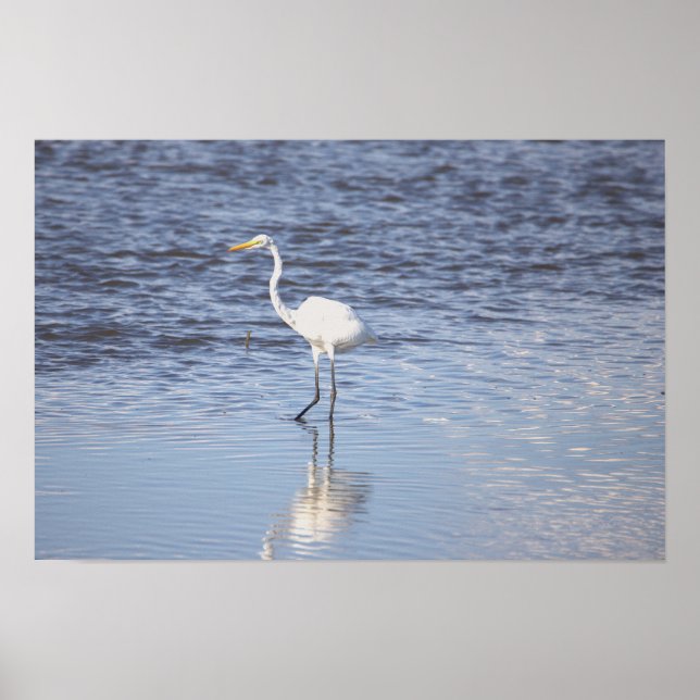 Affiche Heron dans l'affiche de l'eau (Devant)