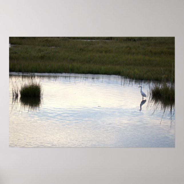 Affiche Héron dans l'eau (Devant)
