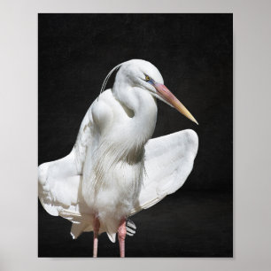 Affiche Héron noir et blanc Tropical Printable Art