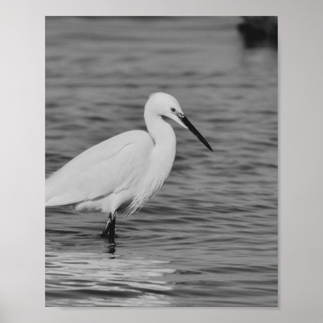 Affiche Héron noir et blanc Tropical Printable Art (Devant)