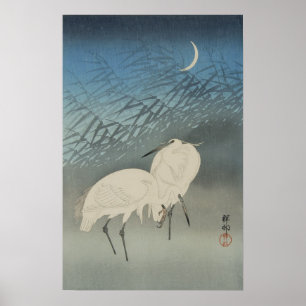 Affiche Hérons blancs et lune, Ohara Koson