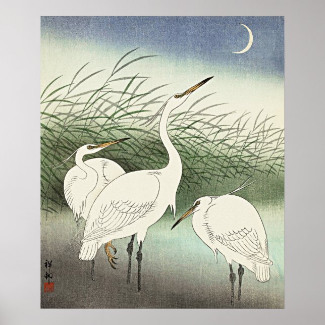 Affiche Hérons en eau douce par Ohara Koson (Devant)