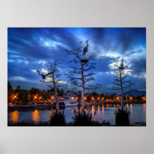 Affiche Hérons riverains