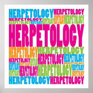 Affiche Herpetology coloré