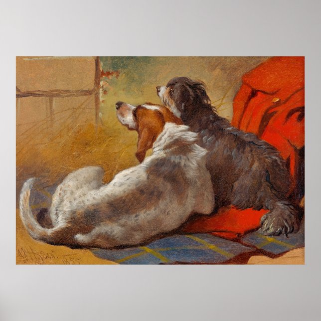 Affiche Herring est une Hound et un Collie à hardes (Devant)